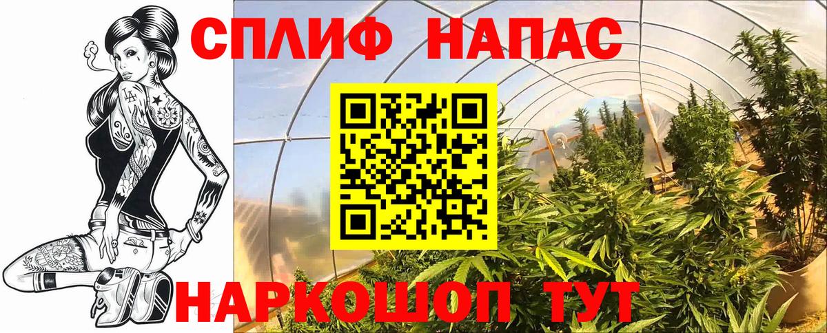 МАРИХУАНА ГИДРОПОН Урус-Мартан